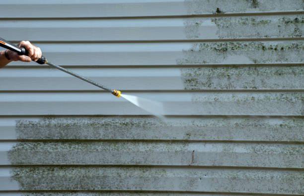 Best Fast Mold Removal  in Big Lake, TX