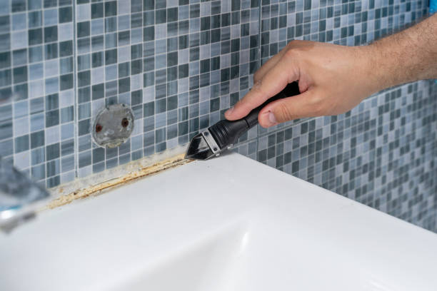Best Same-Day Mold Removal  in Big Lake, TX