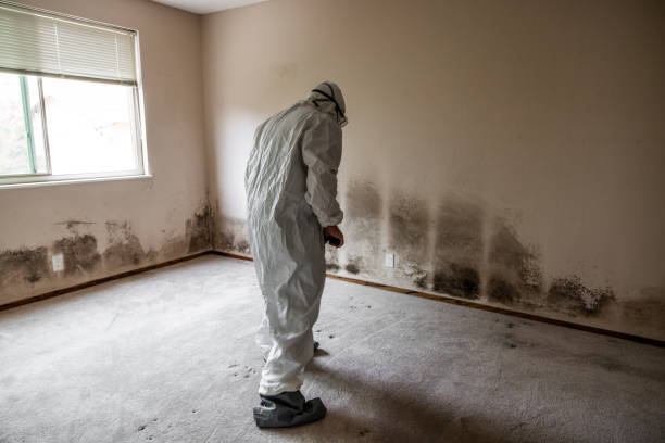 Best Mold Testing  in Big Lake, TX