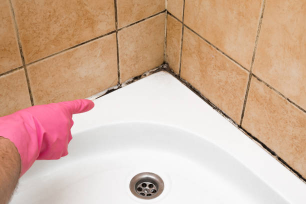 Best Emergency Mold Removal  in Big Lake, TX